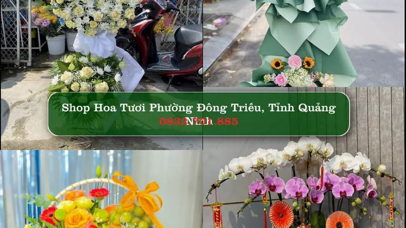 Shop Hoa Tươi Phường Đông Triều - Tỉnh Quảng Ninh