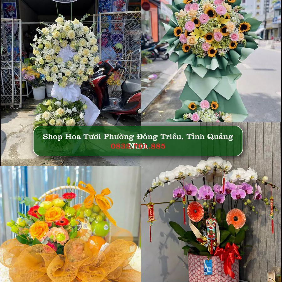 Shop Hoa Tươi Phường Đông Triều - Tỉnh Quảng Ninh