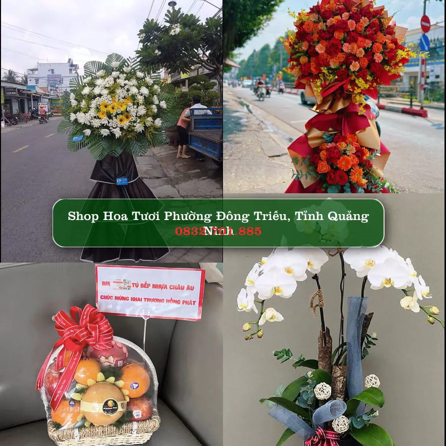 Shop hoa tươi Phường Đông Triều, Tỉnh Quảng Ninh - ThuyHoaTuoi.Com giao hoa tận nơi