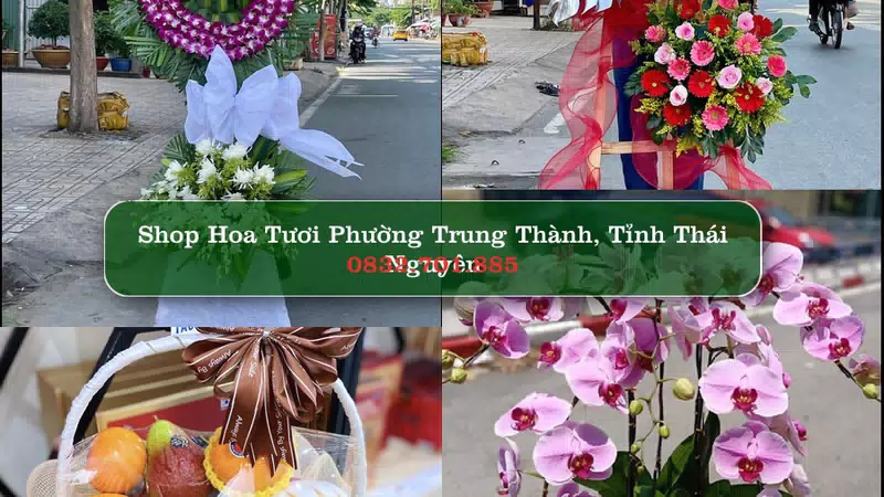 Shop Hoa Tươi Phường Trung Thành - Tỉnh Thái Nguyên