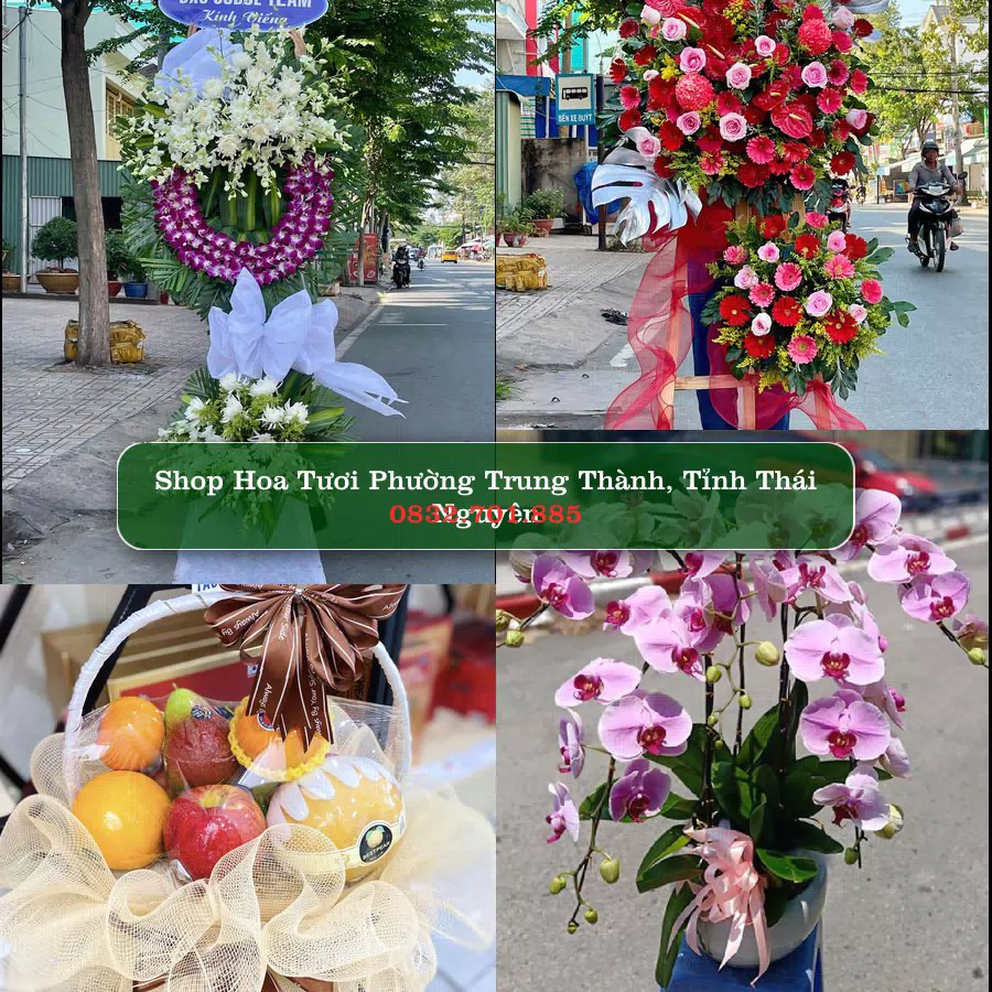 Shop Hoa Tươi Phường Trung Thành - Tỉnh Thái Nguyên