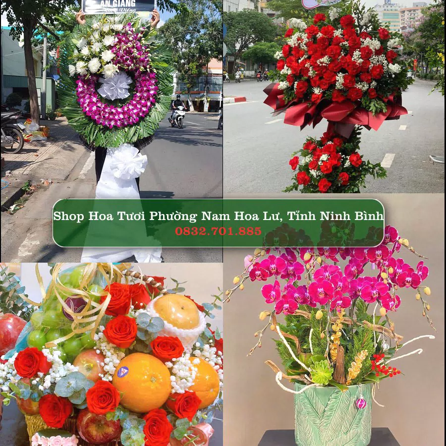 Shop Hoa Tươi Phường Nam Hoa Lư - Tỉnh Ninh Bình
