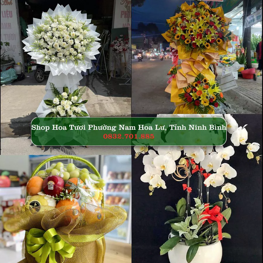 Shop hoa tươi Phường Nam Hoa Lư, Tỉnh Ninh Bình - ThuyHoaTuoi.Com giao hoa tận nơi