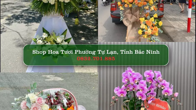 Shop Hoa Tươi Phường Tự Lạn - Tỉnh Bắc Ninh
