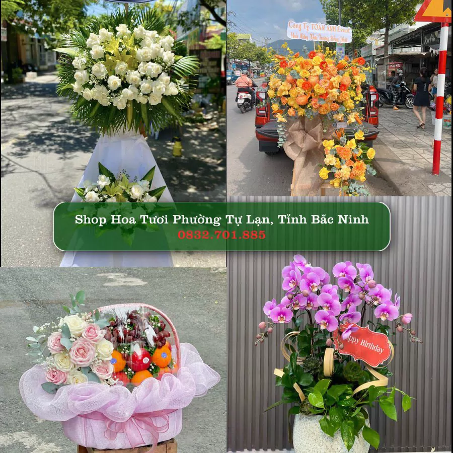 Shop Hoa Tươi Phường Tự Lạn - Tỉnh Bắc Ninh