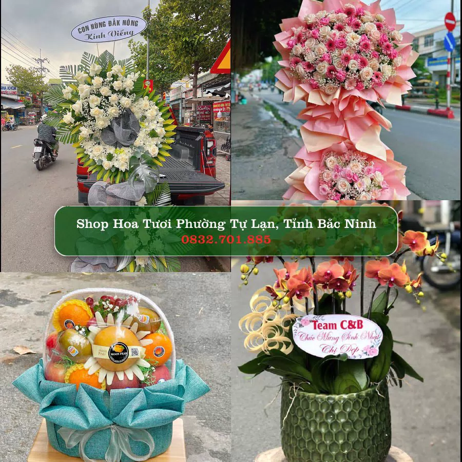 Shop hoa tươi Phường Tự Lạn, Tỉnh Bắc Ninh - ThuyHoaTuoi.Com giao hoa tận nơi