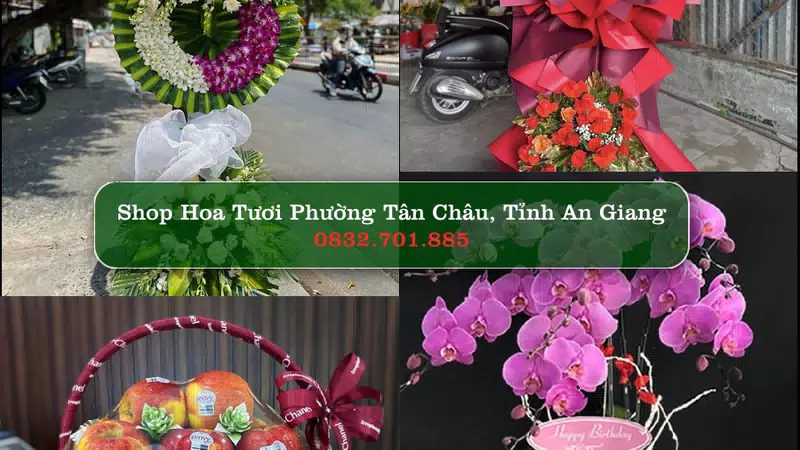 Shop Hoa Tươi Phường Tân Châu - Tỉnh An Giang