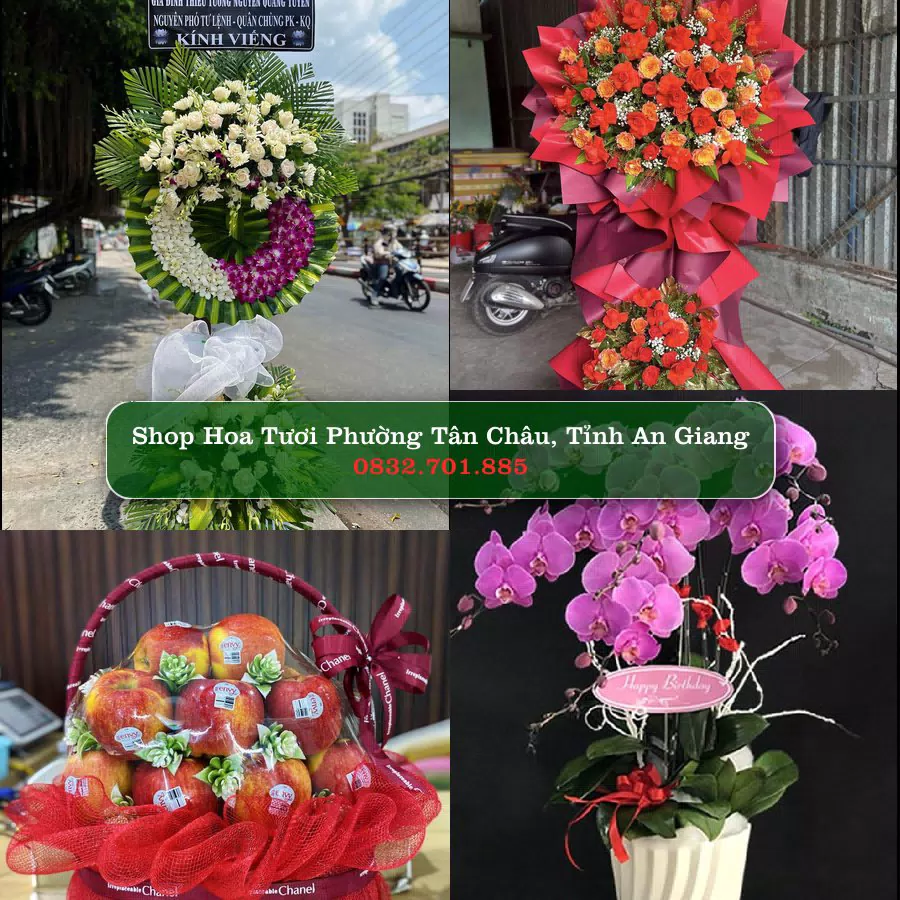Shop Hoa Tươi Phường Tân Châu - Tỉnh An Giang