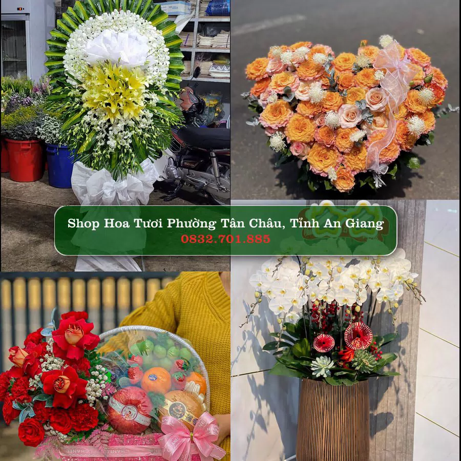 Shop hoa tươi Phường Tân Châu, Tỉnh An Giang - ThuyHoaTuoi.Com giao hoa tận nơi