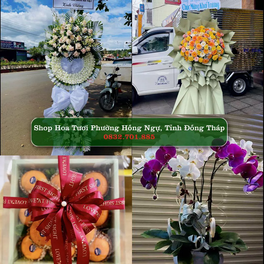 Shop hoa tươi Phường Hồng Ngự, Tỉnh Đồng Tháp - ThuyHoaTuoi.Com giao hoa tận nơi