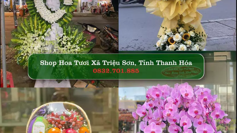 Shop Hoa Tươi Xã Triệu Sơn - Tỉnh Thanh Hóa