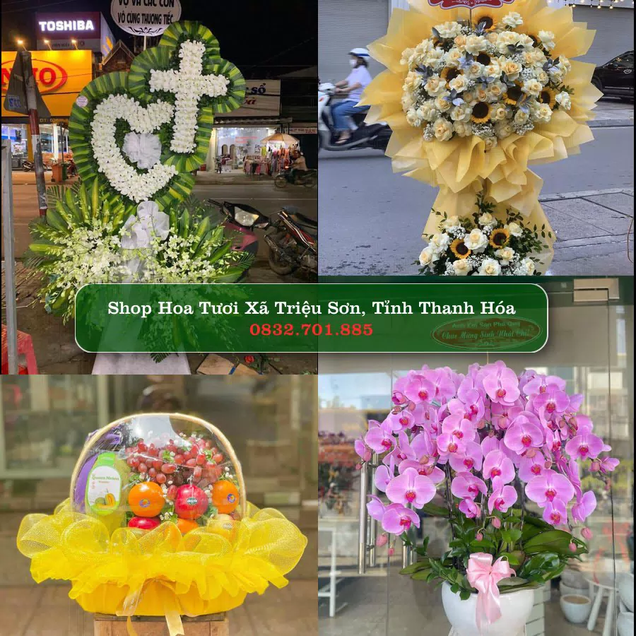 Shop Hoa Tươi Xã Triệu Sơn - Tỉnh Thanh Hóa