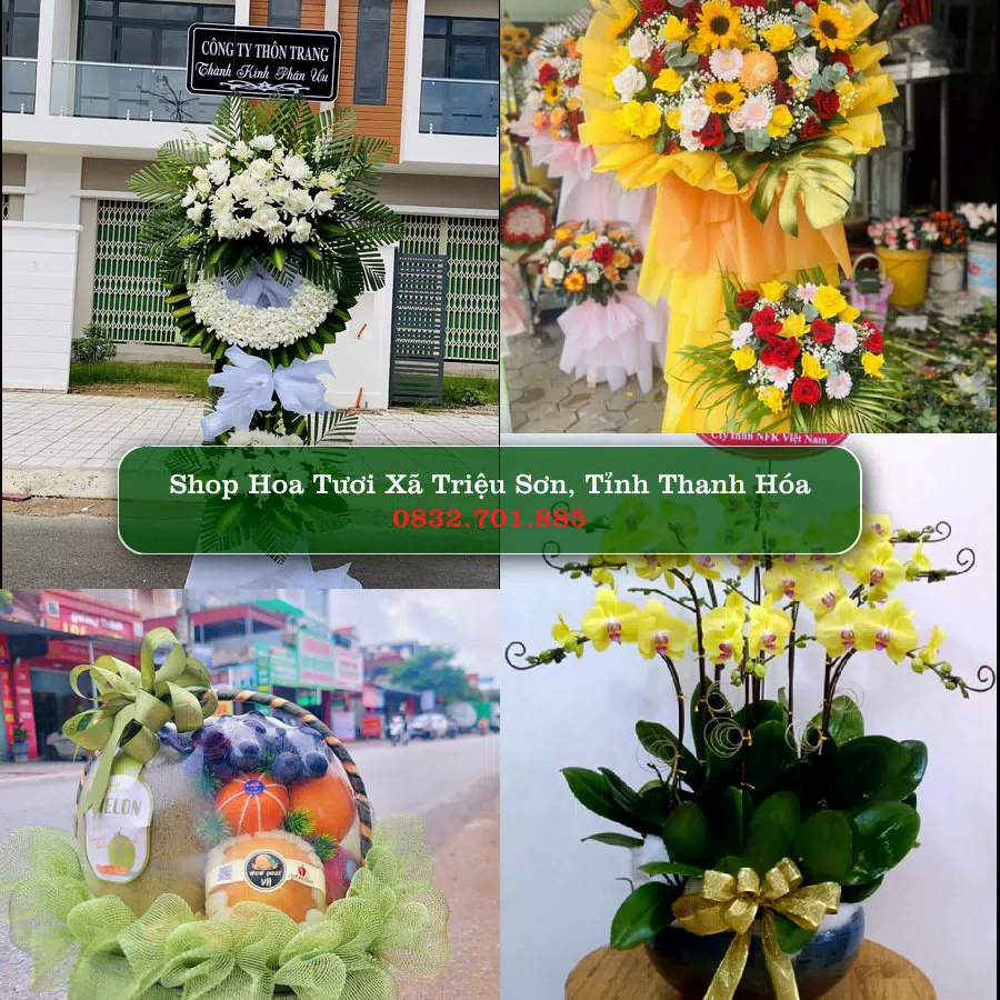 Shop hoa tươi Xã Triệu Sơn, Tỉnh Thanh Hóa - ThuyHoaTuoi.Com giao hoa tận nơi