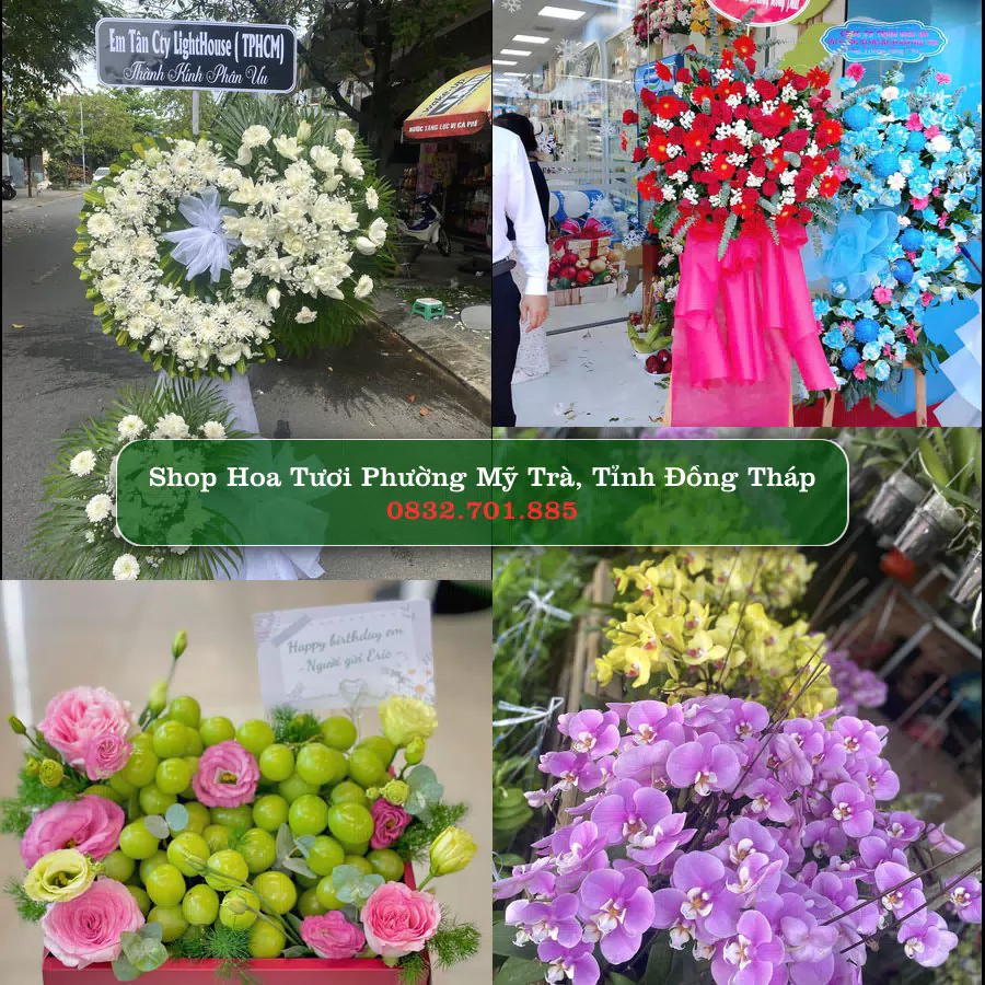Shop hoa tươi Phường Mỹ Trà, Tỉnh Đồng Tháp - ThuyHoaTuoi.Com giao hoa tận nơi