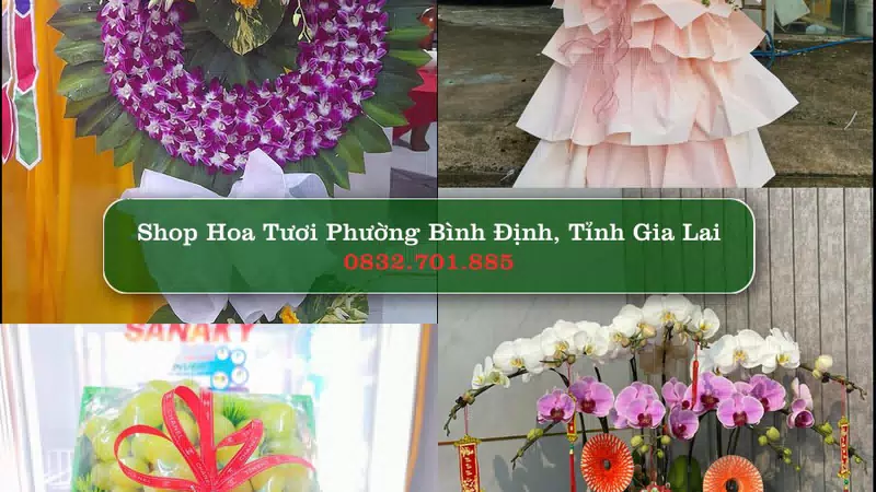 Shop Hoa Tươi Phường Bình Định - Tỉnh Gia Lai