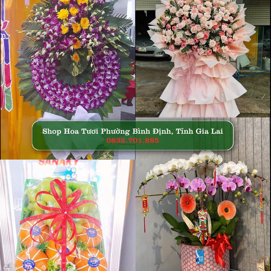 Shop Hoa Tươi Phường Bình Định - Tỉnh Gia Lai