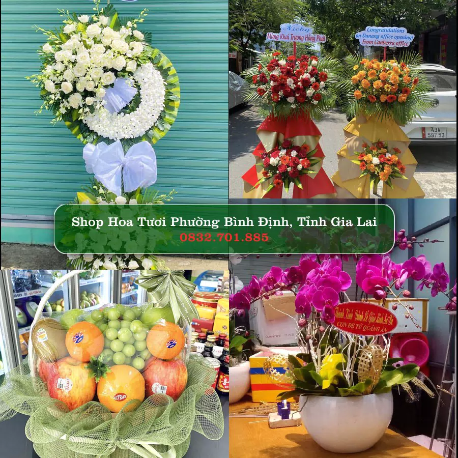Shop hoa tươi Phường Bình Định, Tỉnh Gia Lai - ThuyHoaTuoi.Com giao hoa tận nơi