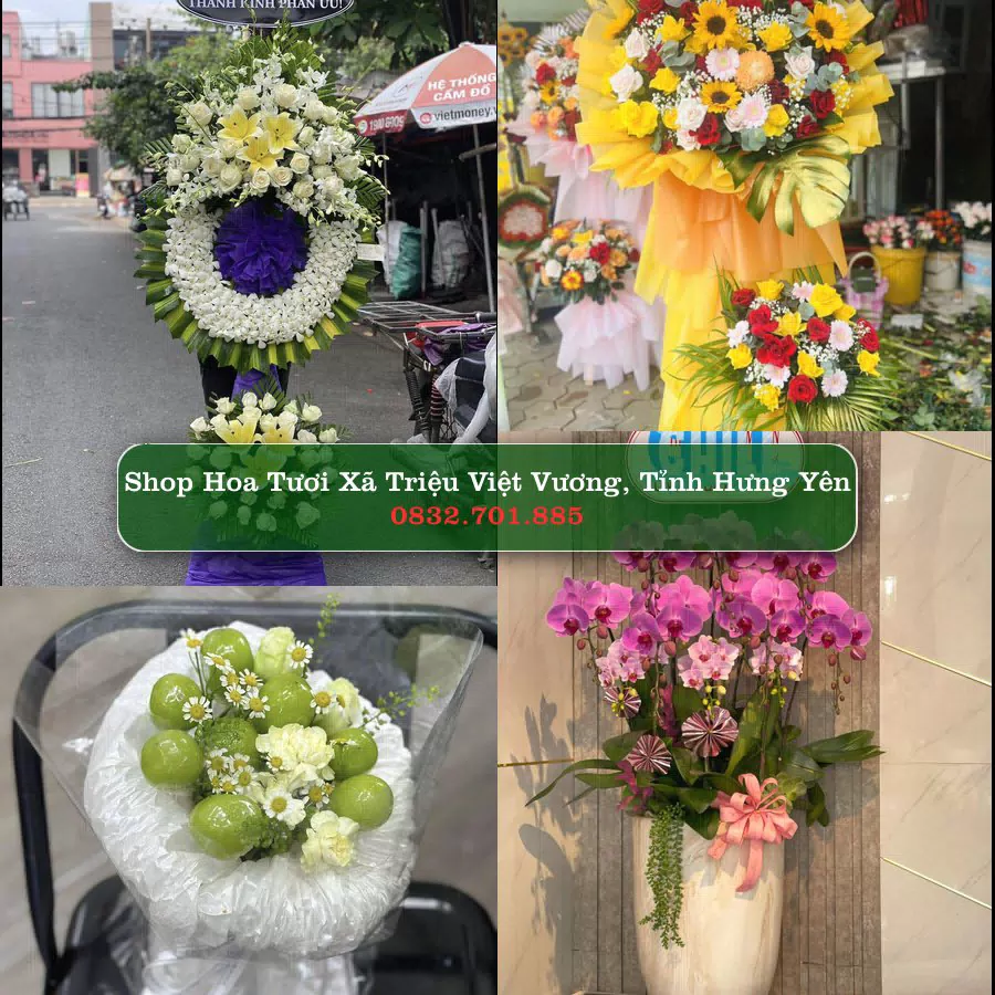 Shop hoa tươi Xã Triệu Việt Vương, Tỉnh Hưng Yên - ThuyHoaTuoi.Com giao hoa tận nơi