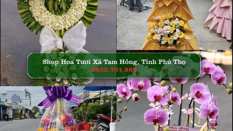 Shop Hoa Tươi Xã Tam Hồng - Tỉnh Phú Thọ