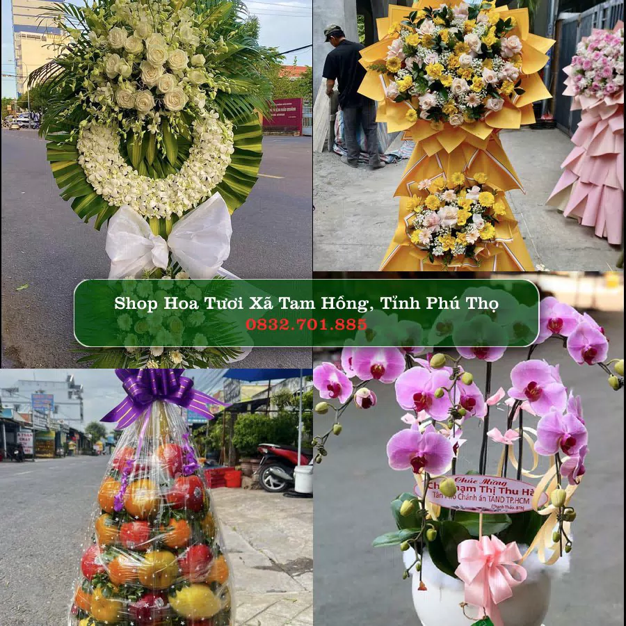 Shop Hoa Tươi Xã Tam Hồng - Tỉnh Phú Thọ