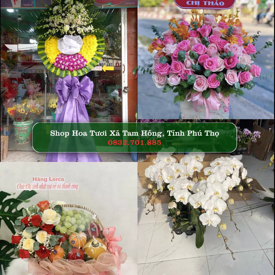 Shop hoa tươi Xã Tam Hồng, Tỉnh Phú Thọ - ThuyHoaTuoi.Com giao hoa tận nơi