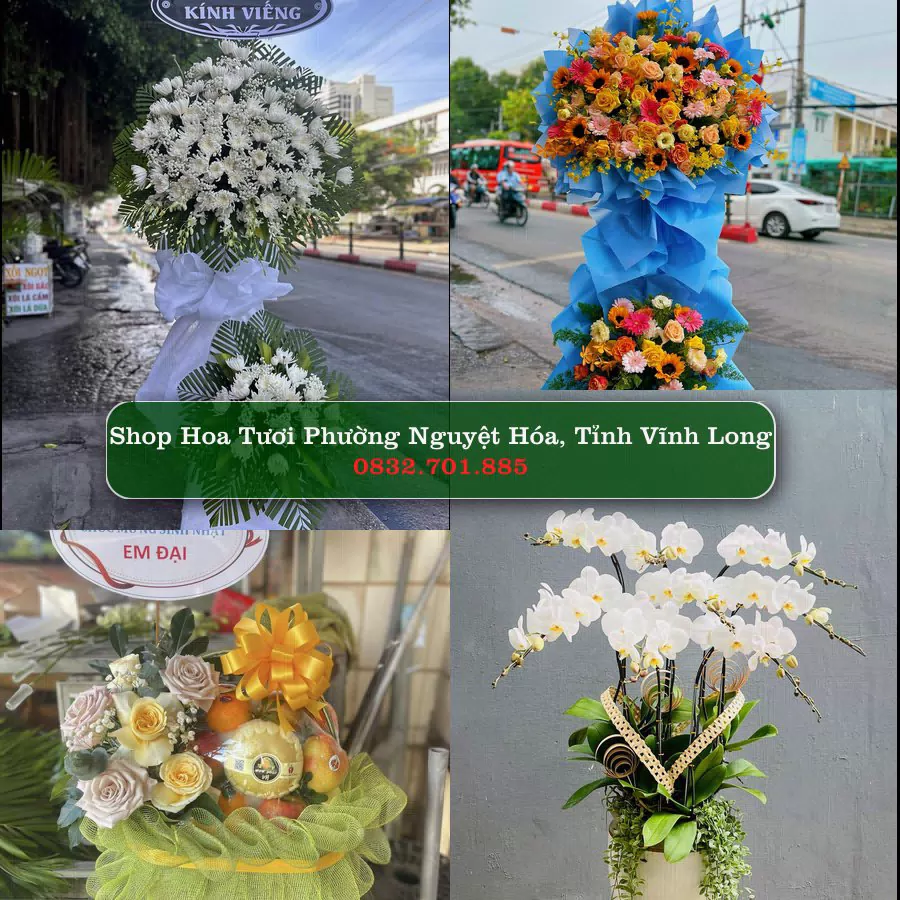 Shop hoa tươi Phường Nguyệt Hóa, Tỉnh Vĩnh Long - ThuyHoaTuoi.Com giao hoa tận nơi