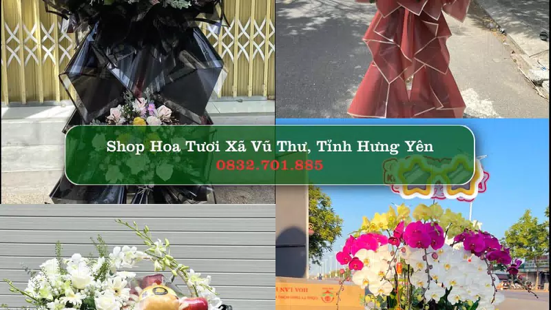Shop Hoa Tươi Xã Vũ Thư - Tỉnh Hưng Yên