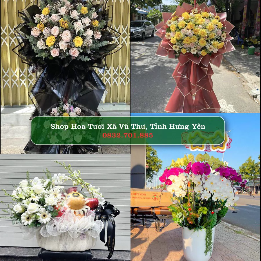 Shop Hoa Tươi Xã Vũ Thư - Tỉnh Hưng Yên