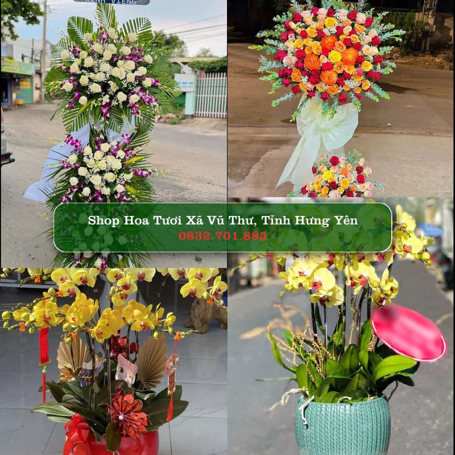 Shop hoa tươi Xã Vũ Thư, Tỉnh Hưng Yên - ThuyHoaTuoi.Com giao hoa tận nơi