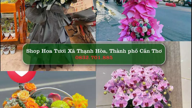Shop Hoa Tươi Xã Thạnh Hòa - Thành phố Cần Thơ