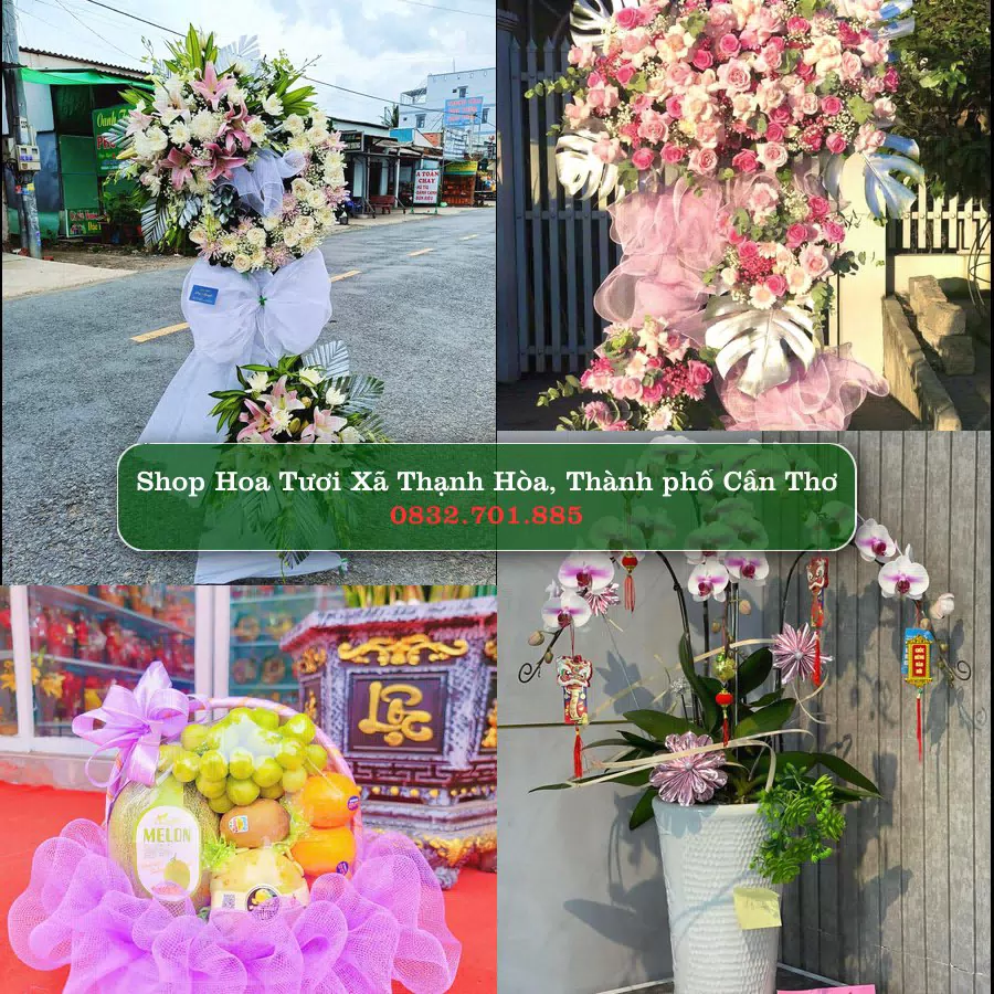 Shop hoa tươi Xã Thạnh Hòa, Thành phố Cần Thơ - ThuyHoaTuoi.Com giao hoa tận nơi