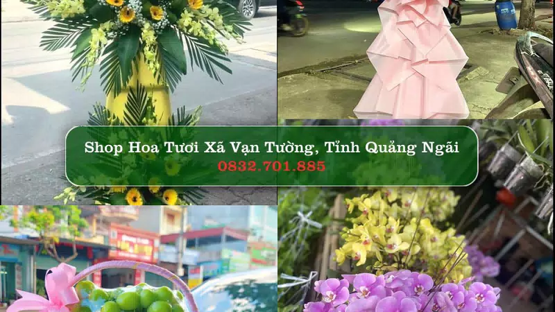 Shop Hoa Tươi Xã Vạn Tường - Tỉnh Quảng Ngãi