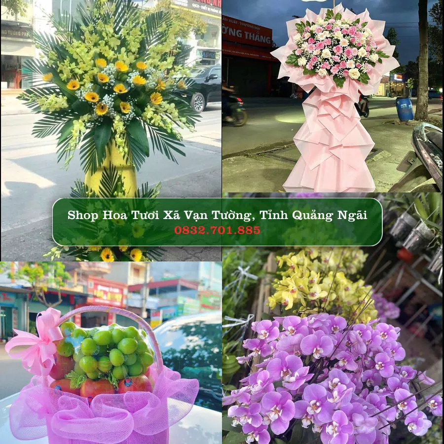Shop Hoa Tươi Xã Vạn Tường - Tỉnh Quảng Ngãi
