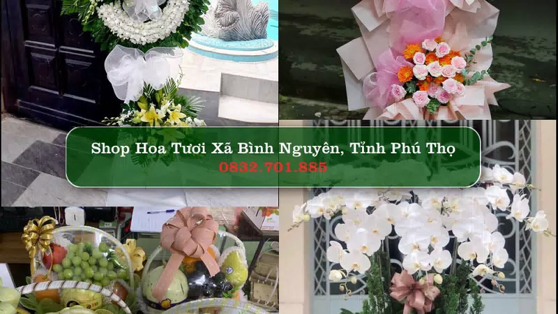 Shop Hoa Tươi Xã Bình Nguyên - Tỉnh Phú Thọ