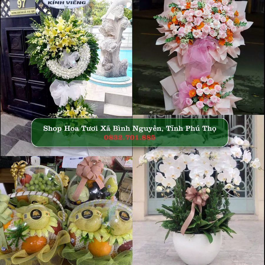 Shop Hoa Tươi Xã Bình Nguyên - Tỉnh Phú Thọ