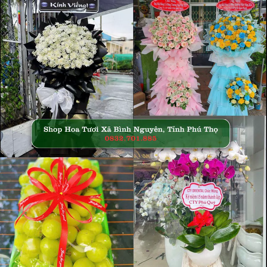 Shop hoa tươi Xã Bình Nguyên, Tỉnh Phú Thọ - ThuyHoaTuoi.Com giao hoa tận nơi