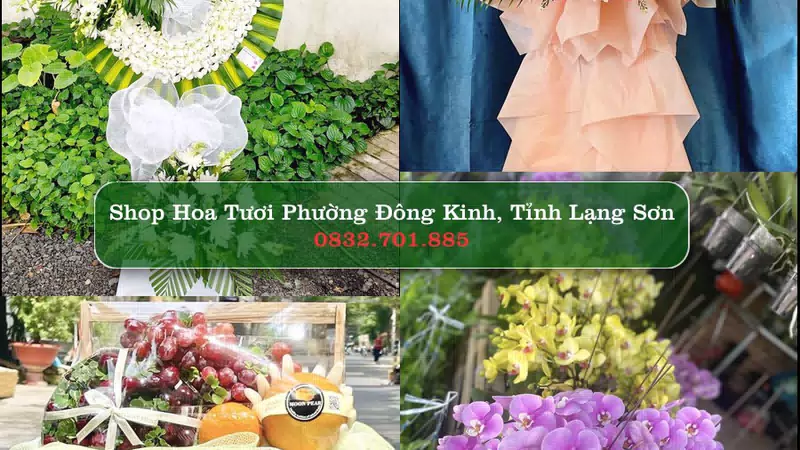 Shop Hoa Tươi Phường Đông Kinh - Tỉnh Lạng Sơn