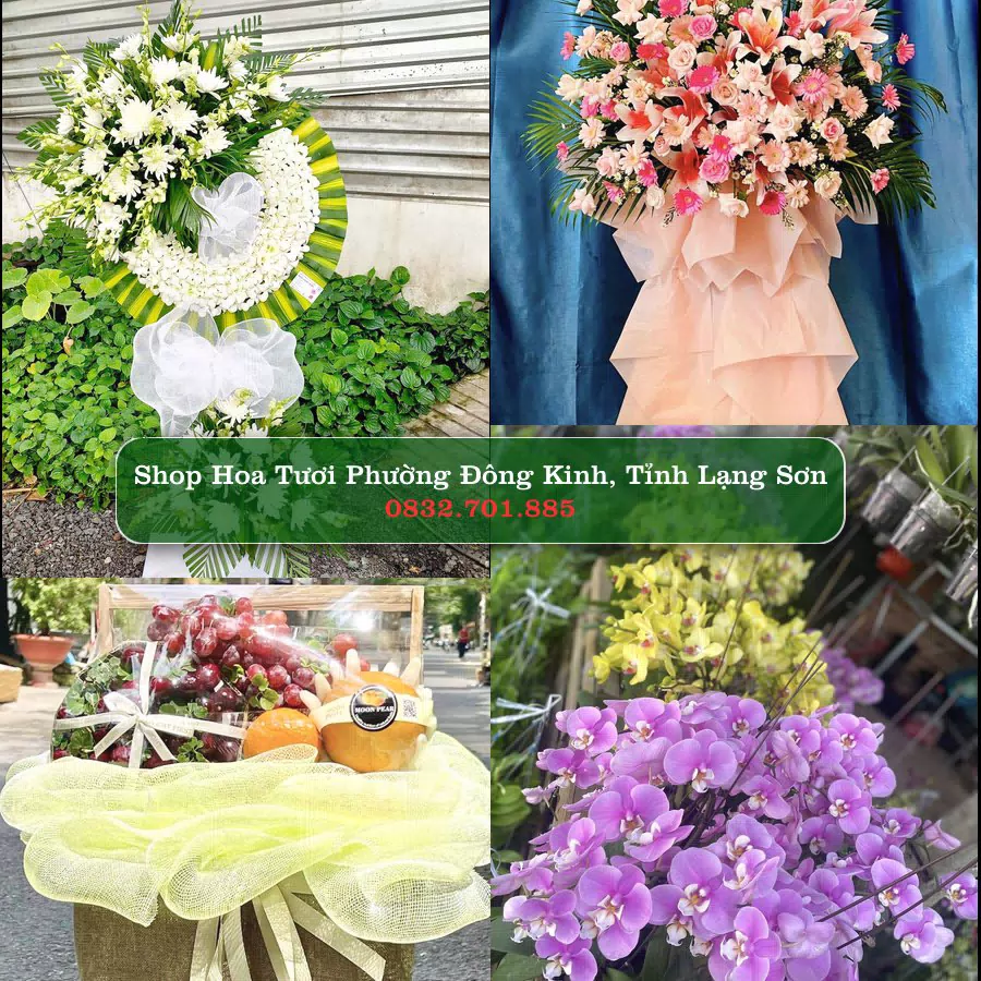 Shop Hoa Tươi Phường Đông Kinh - Tỉnh Lạng Sơn