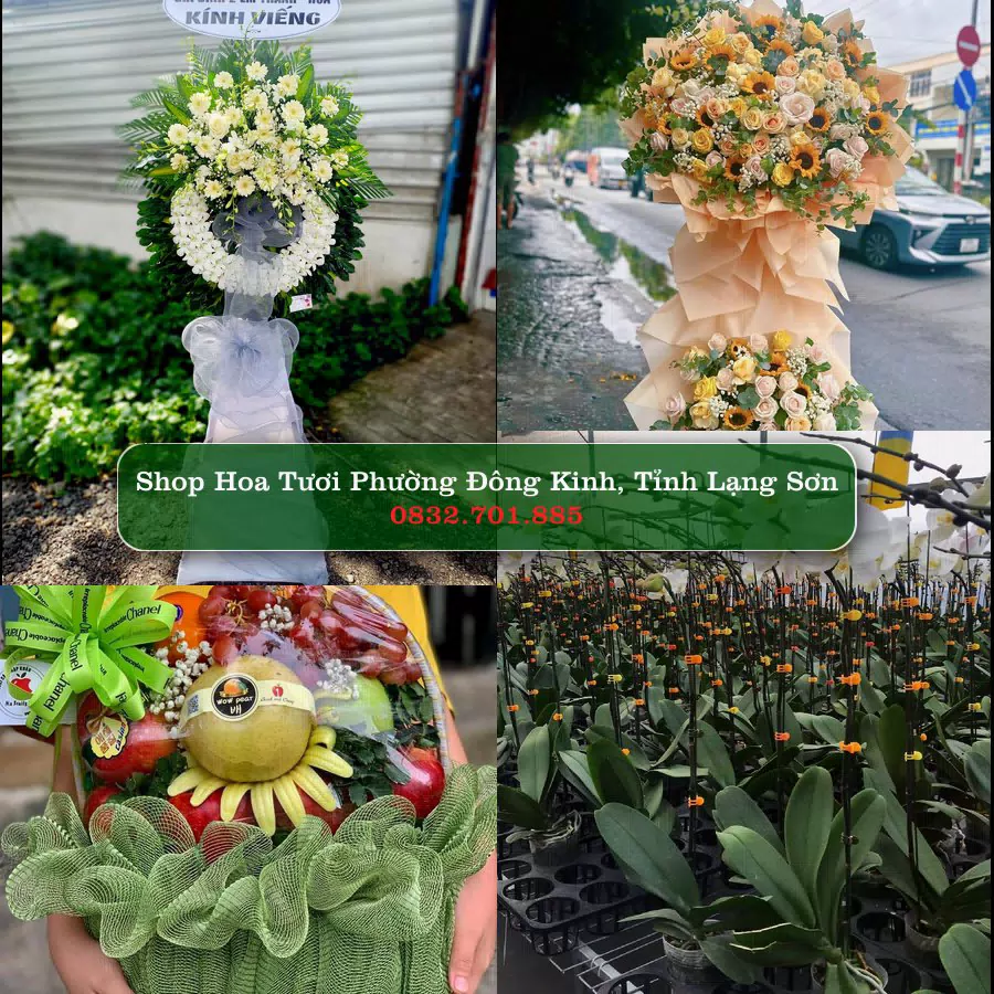 Shop hoa tươi Phường Đông Kinh, Tỉnh Lạng Sơn - ThuyHoaTuoi.Com giao hoa tận nơi