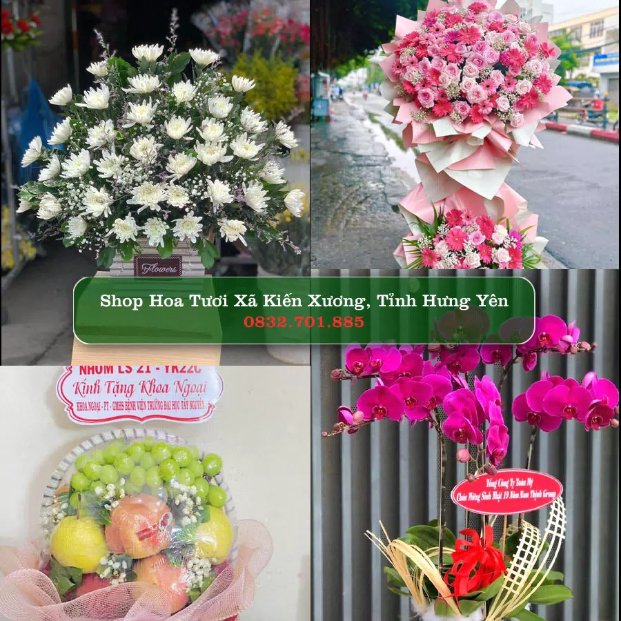 Shop hoa tươi Xã Kiến Xương, Tỉnh Hưng Yên - ThuyHoaTuoi.Com giao hoa tận nơi