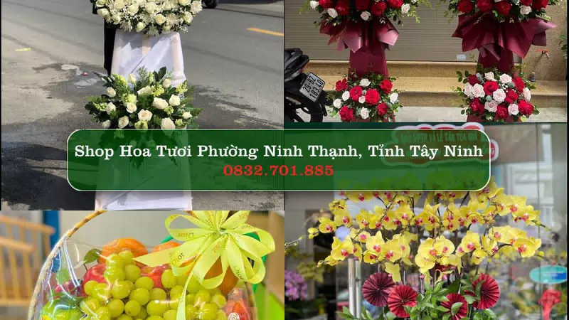 Shop Hoa Tươi Phường Ninh Thạnh - Tỉnh Tây Ninh