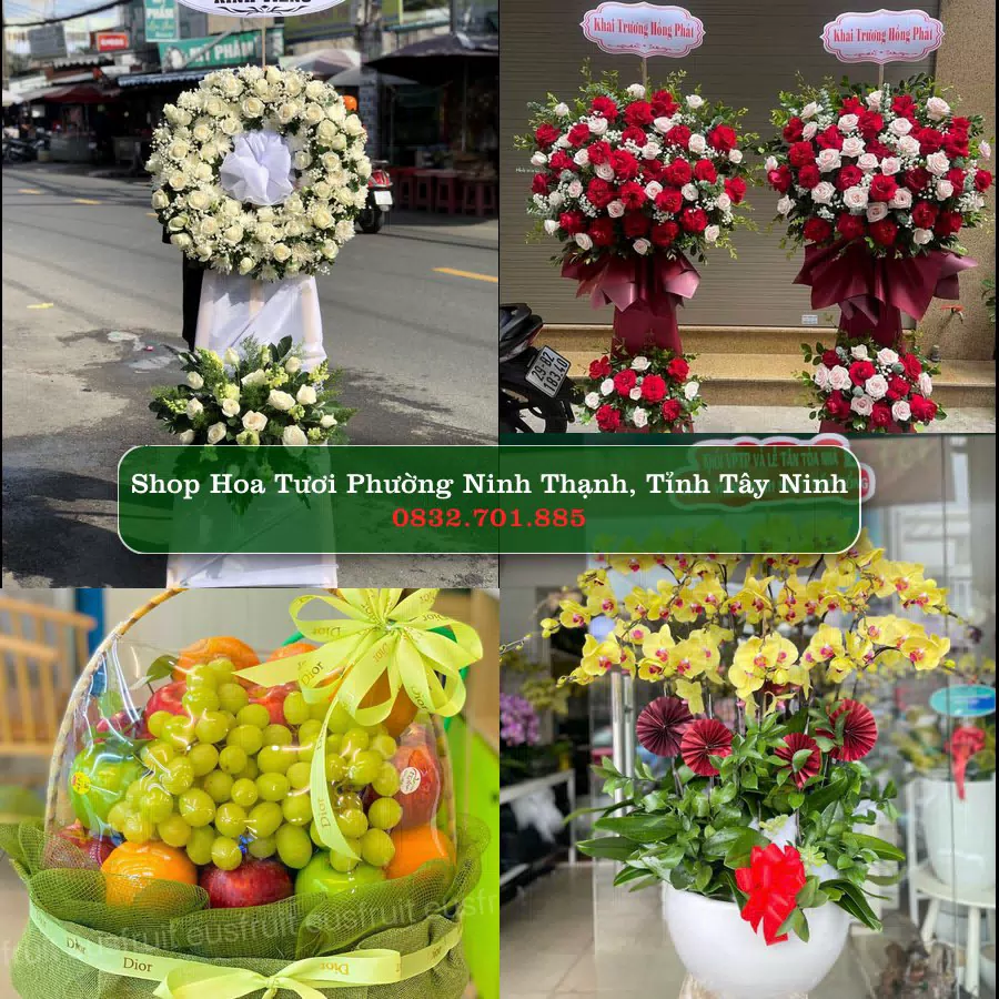 Shop Hoa Tươi Phường Ninh Thạnh - Tỉnh Tây Ninh