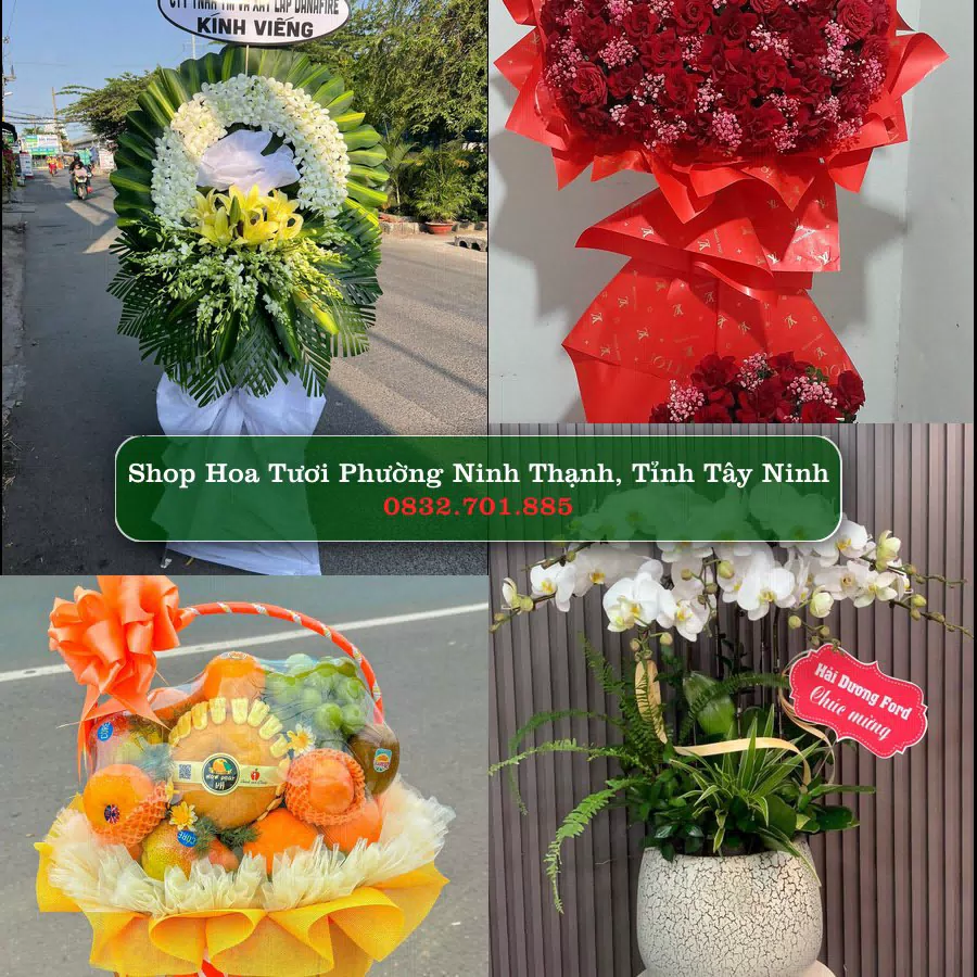 Shop hoa tươi Phường Ninh Thạnh, Tỉnh Tây Ninh - ThuyHoaTuoi.Com giao hoa tận nơi