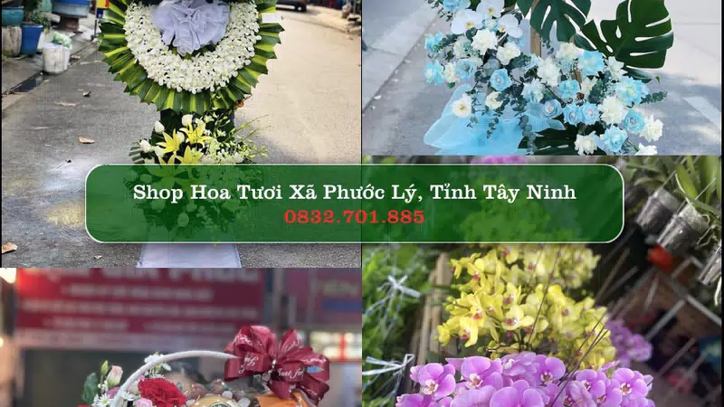 Shop Hoa Tươi Xã Phước Lý - Tỉnh Tây Ninh