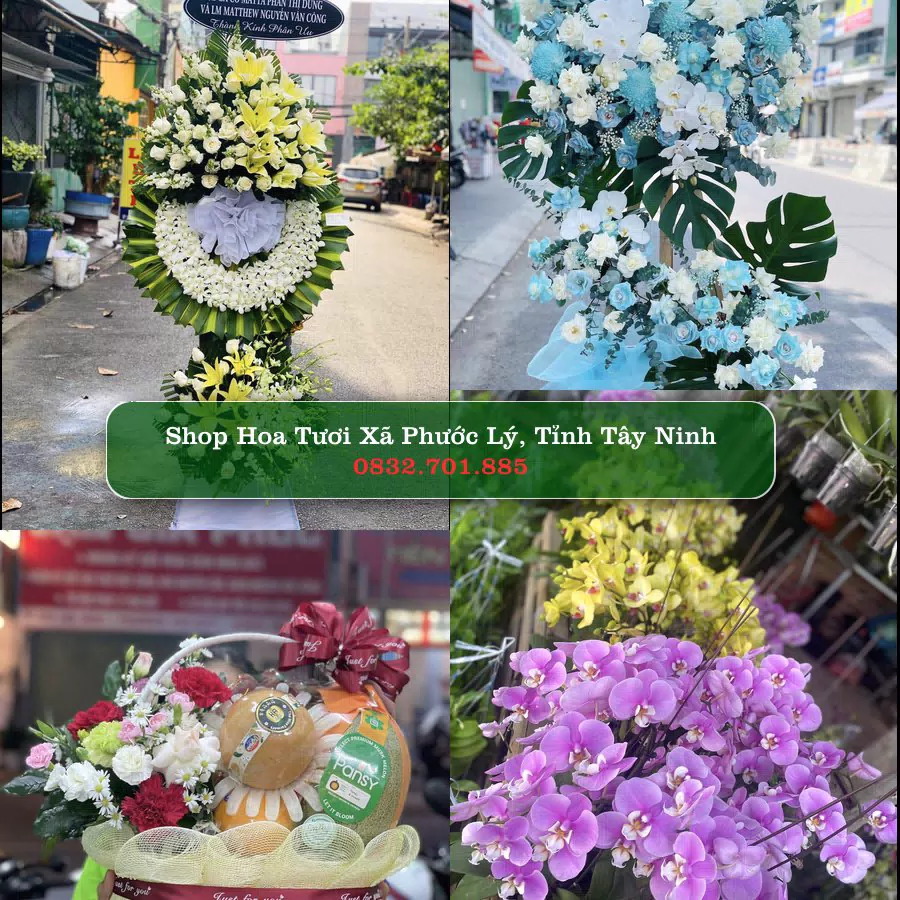 Shop Hoa Tươi Xã Phước Lý - Tỉnh Tây Ninh