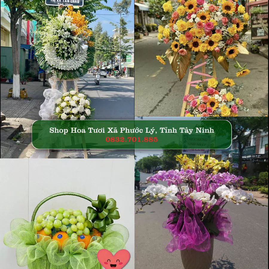 Shop hoa tươi Xã Phước Lý, Tỉnh Tây Ninh - ThuyHoaTuoi.Com giao hoa tận nơi