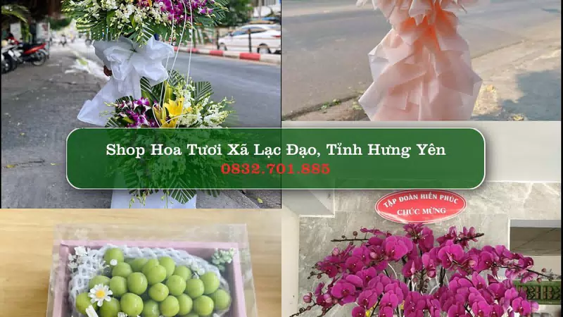 Shop Hoa Tươi Xã Lạc Đạo - Tỉnh Hưng Yên
