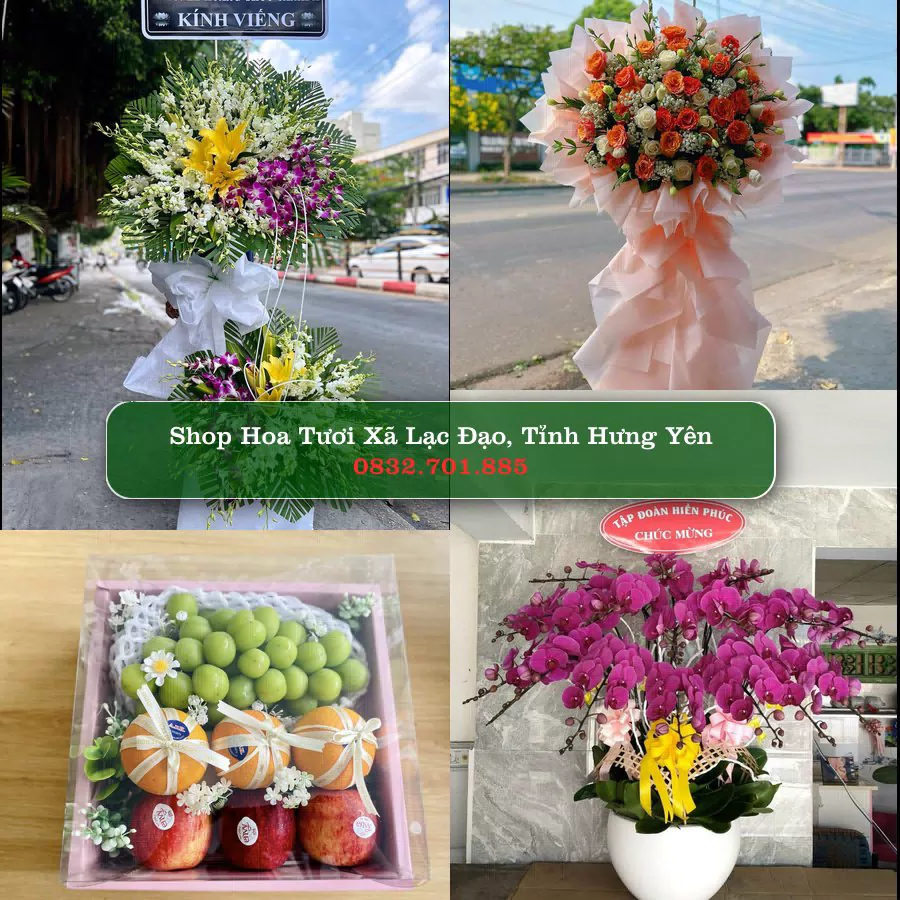 Shop Hoa Tươi Xã Lạc Đạo - Tỉnh Hưng Yên
