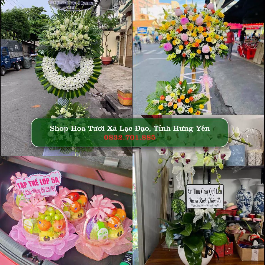 Shop hoa tươi Xã Lạc Đạo, Tỉnh Hưng Yên - ThuyHoaTuoi.Com giao hoa tận nơi