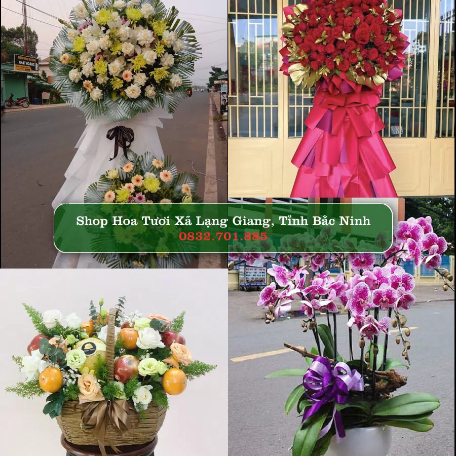 Shop hoa tươi Xã Lạng Giang, Tỉnh Bắc Ninh - ThuyHoaTuoi.Com giao hoa tận nơi